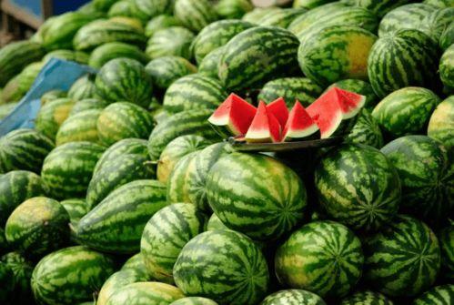 各种吃瓜网红,揭秘网络红人的瓜田奇遇